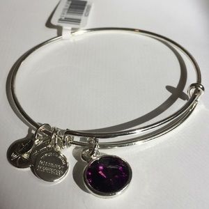 Alex & Ani Amethyst birth stone charm bracelet